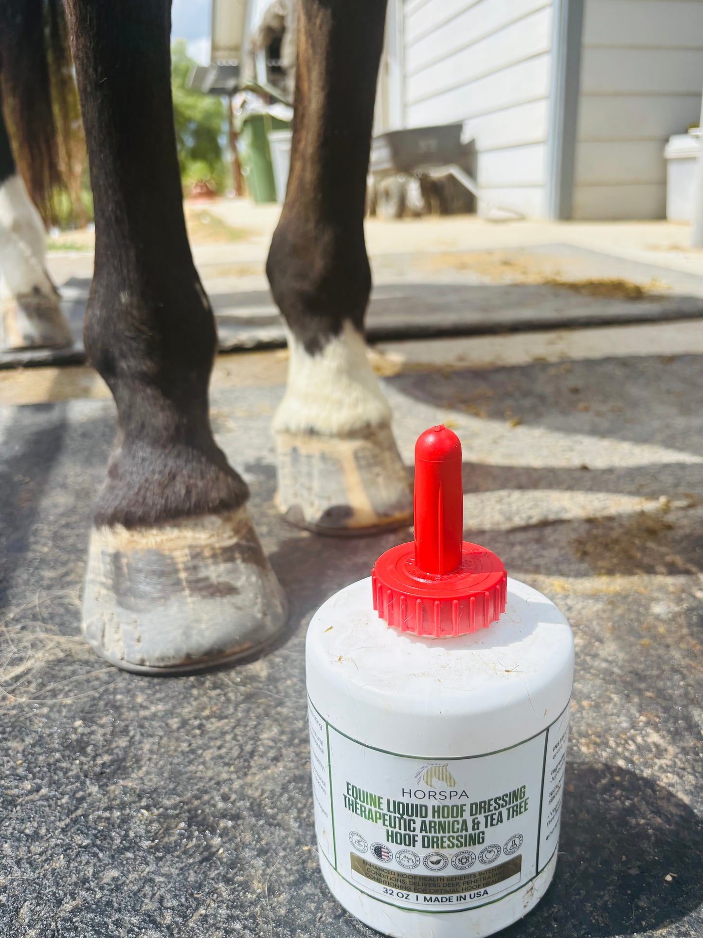 Equine Liquid Hoof Dressing Arnica & Tea Tree 32 oz