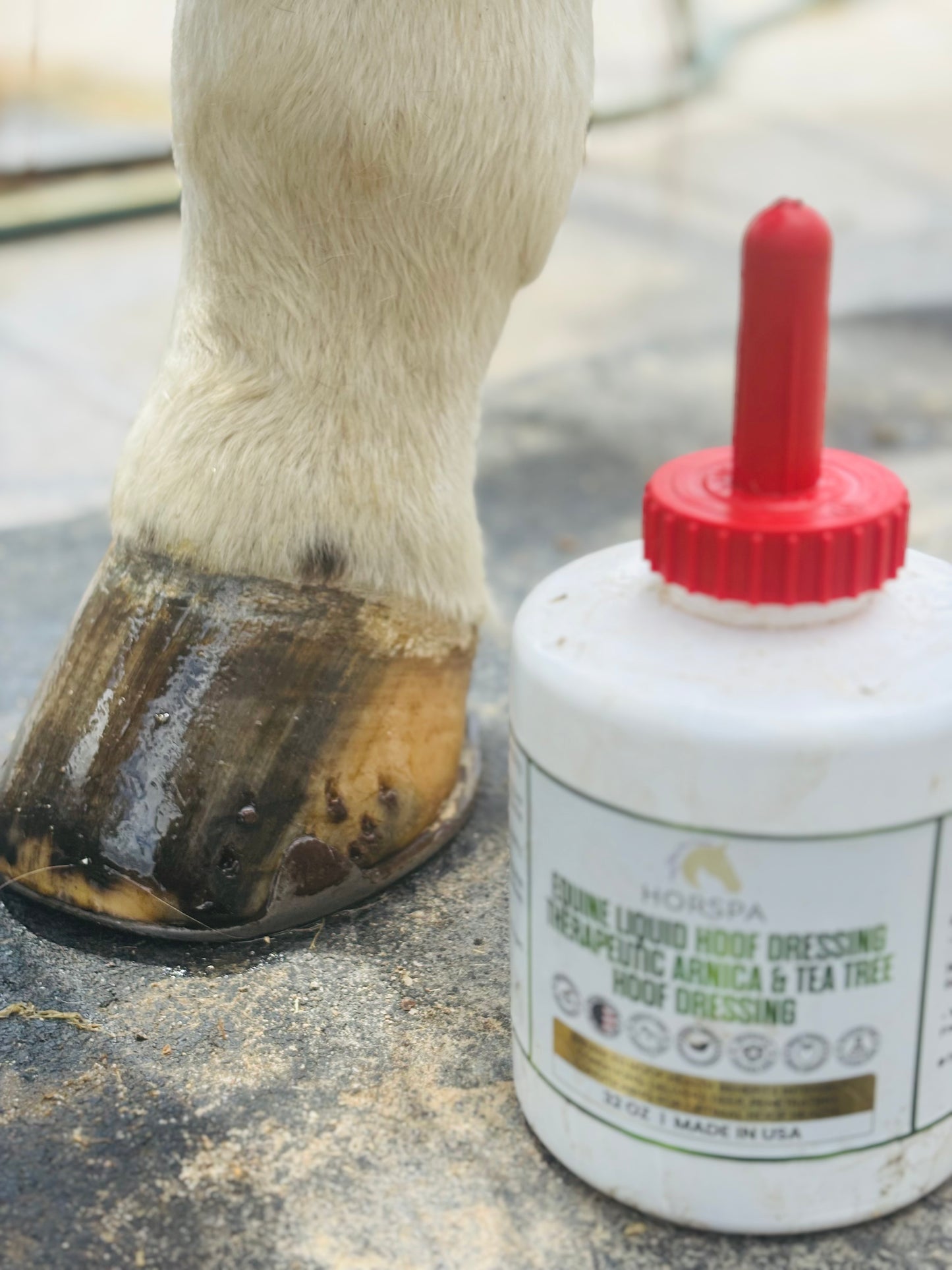 Equine Liquid Hoof Dressing Arnica & Tea Tree 32 oz