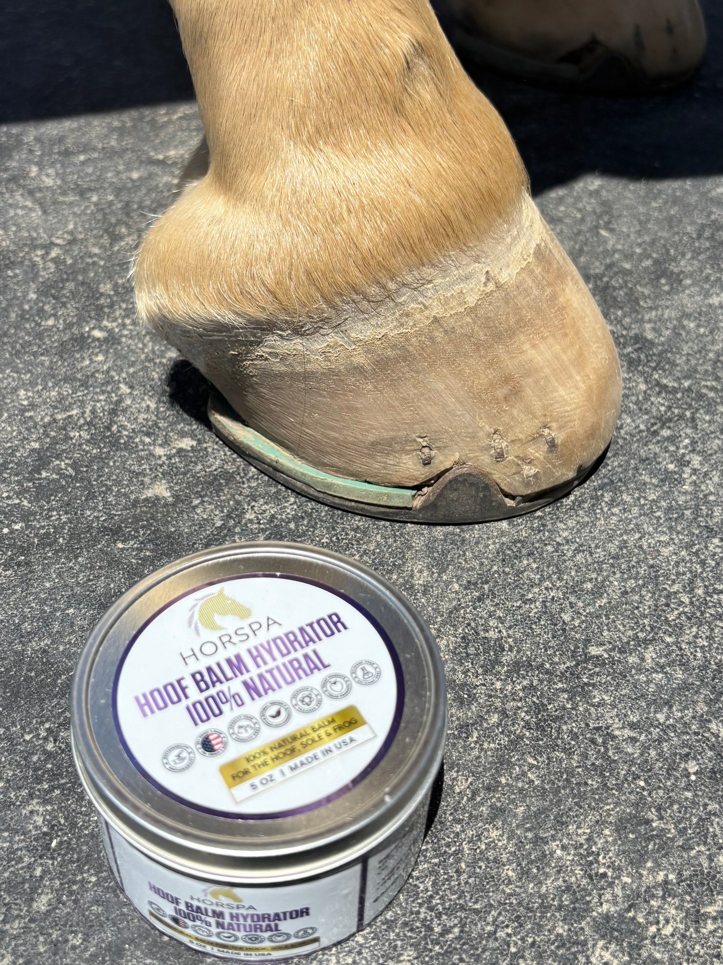 Hoof Balm Hydrator 100% Natural with Brush Applicator 5 oz