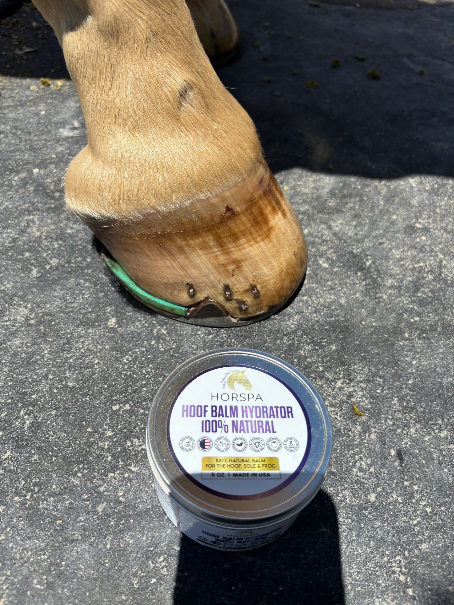 Hoof Balm Hydrator 100% Natural with Brush Applicator 5 oz