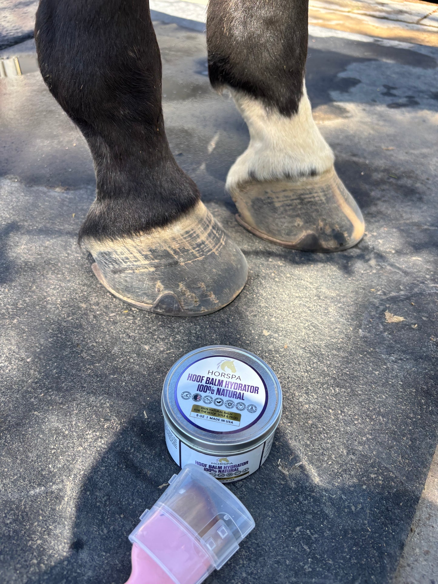 Hoof Balm Hydrator 100% Natural with Brush Applicator 5 oz