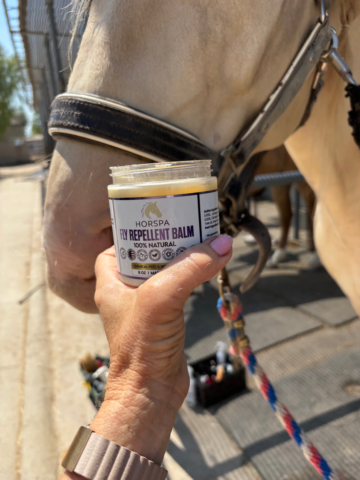 Fly Repellent Balm 100% Natural 8 oz & Cellulose Sponge Applicator