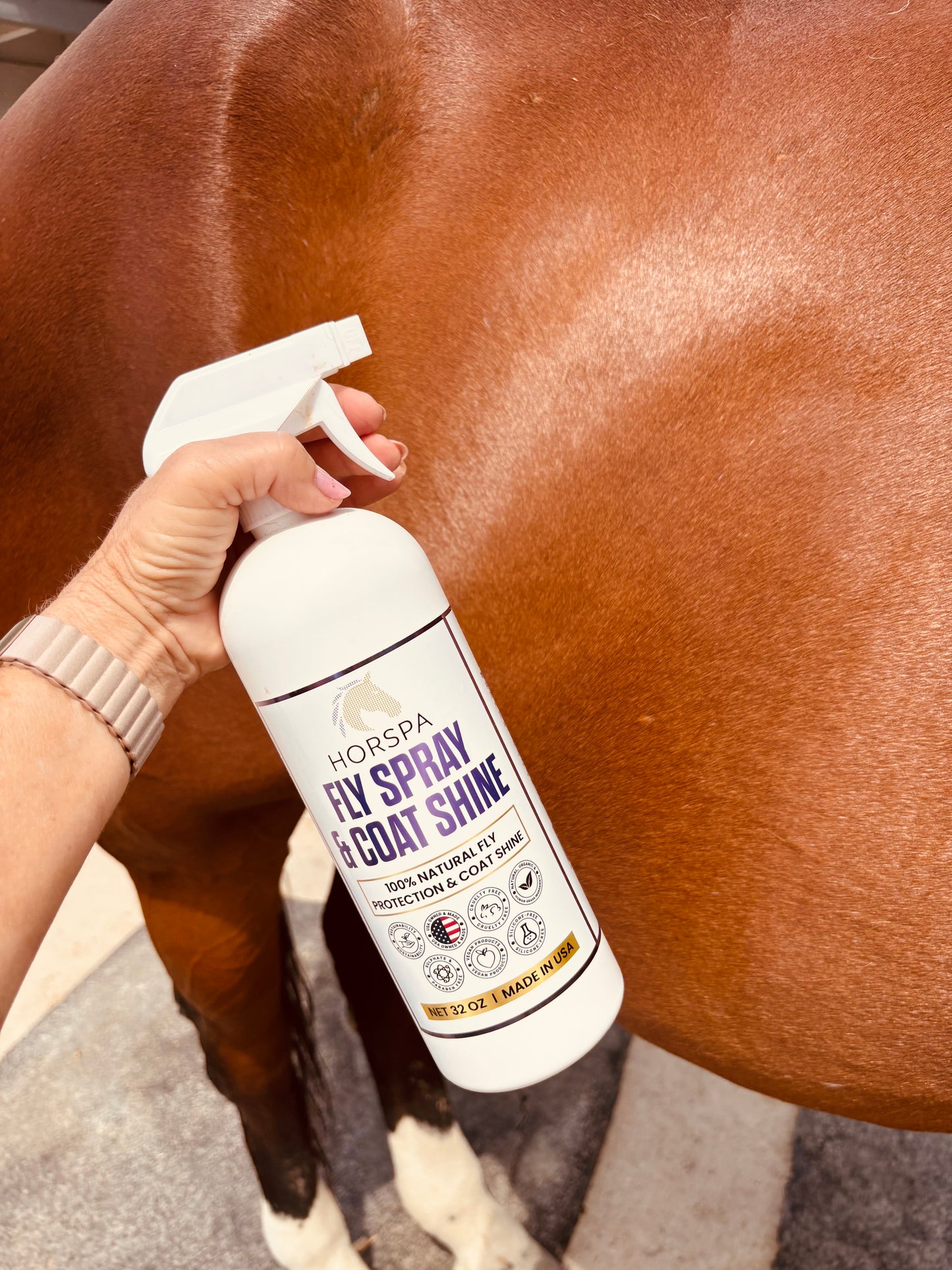 Fly Spray & Coat Shine