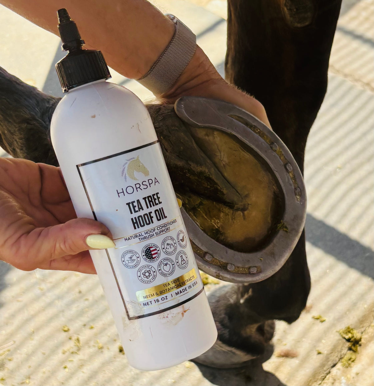 Tea Tree Hoof Oil Drip Bottle with Brush 16 oz