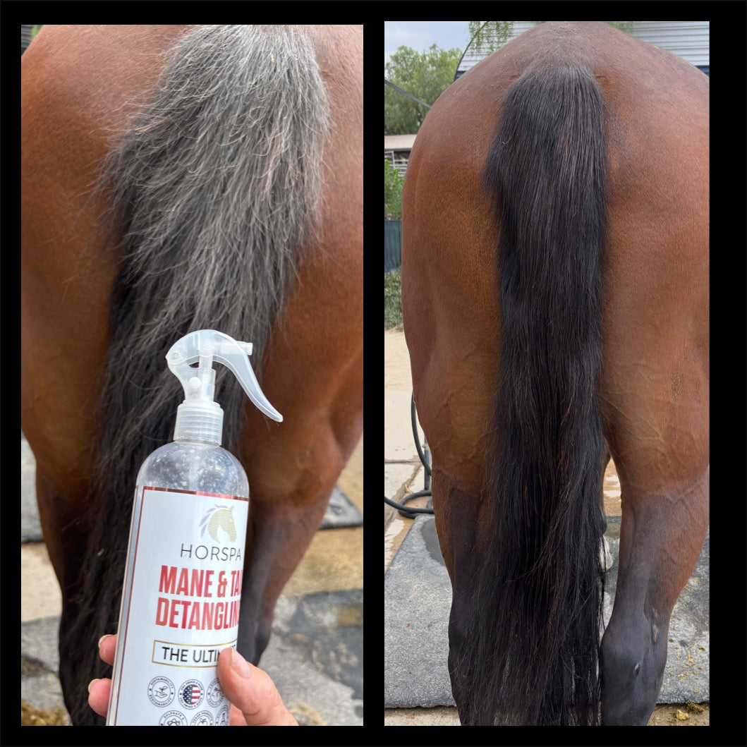 Mane & Tail Detangling Spray Calendula & Chamomile - The Ultimate