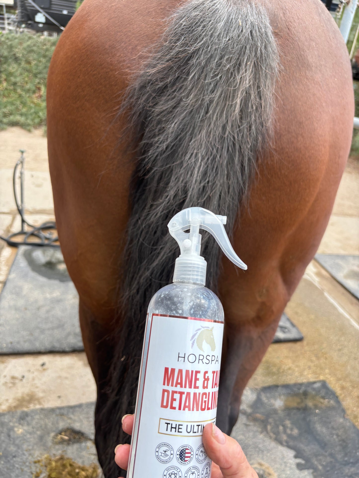 Mane & Tail Detangling Spray Peach & Honey - The Ultimate