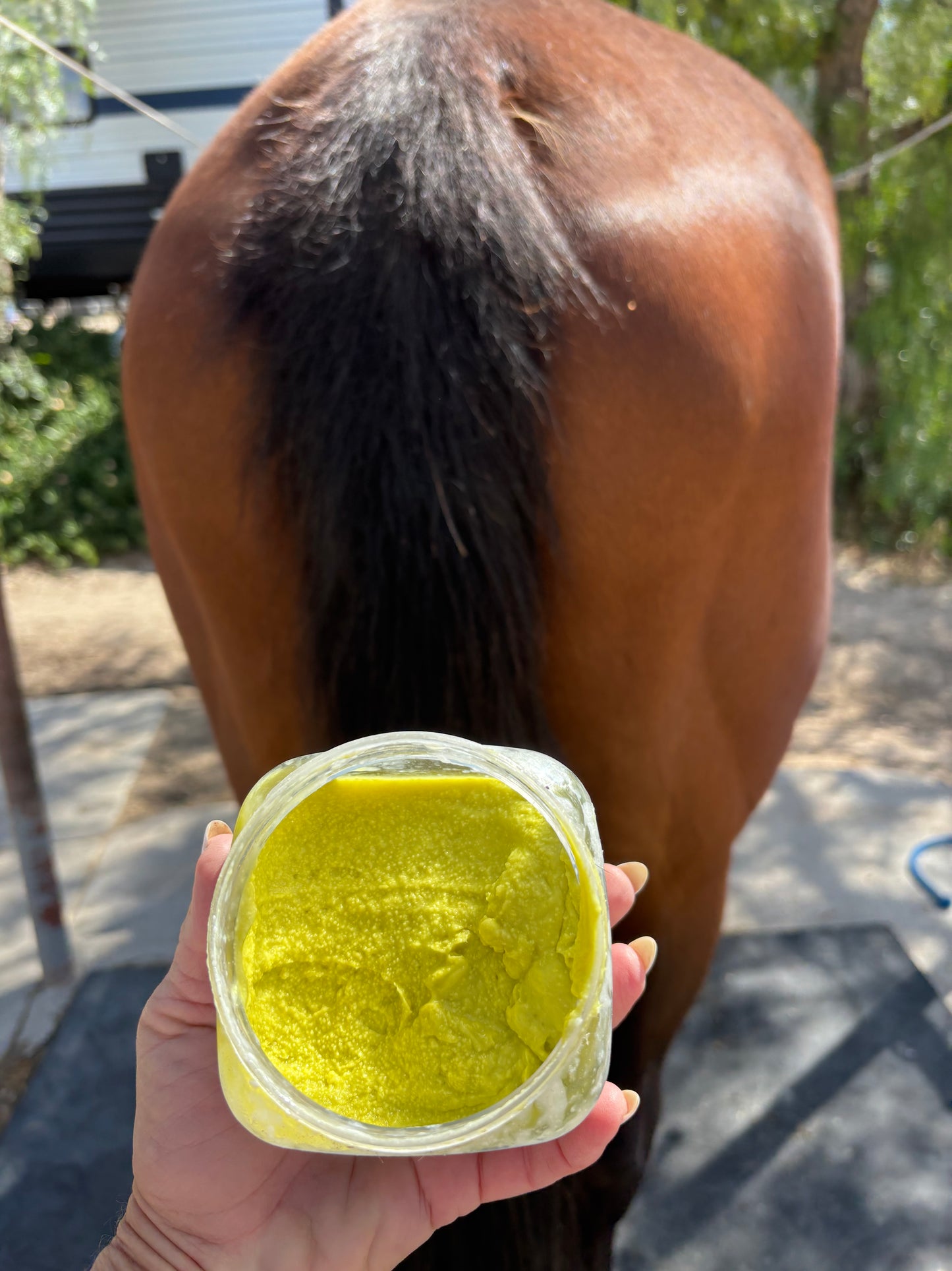 Avocado Silk Mane and Tail Therapy 100% Natural   16 oz