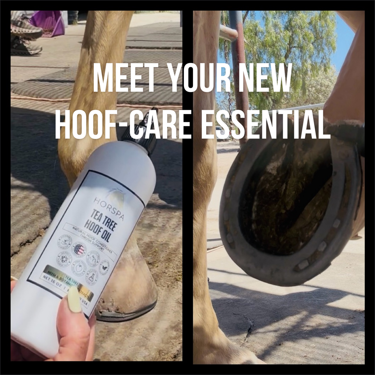 Tea Tree Hoof Oil Drip Bottle with Brush 16 oz